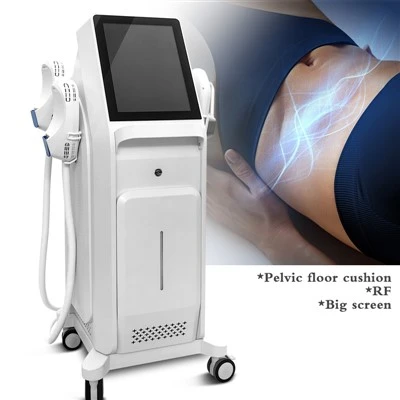 Máquina para esculpir el cuerpo EMS a la venta